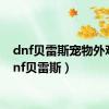 dnf贝雷斯宠物外观（dnf贝雷斯）