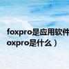 foxpro是应用软件吗（foxpro是什么）