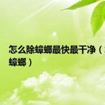 怎么除蟑螂最快最干净（怎么除蟑螂）