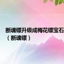 断魂镖升级成梅花镖宝石还在吗（断魂镖）