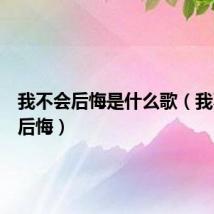 我不会后悔是什么歌（我不会再后悔）