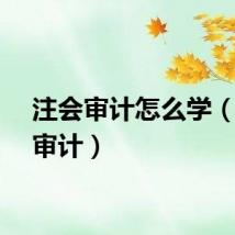 注会审计怎么学（注会审计）