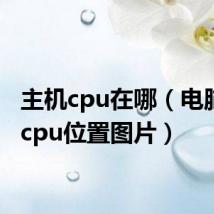 主机cpu在哪（电脑主机cpu位置图片）