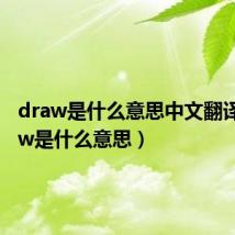 draw是什么意思中文翻译（draw是什么意思）