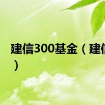 建信300基金（建信300）