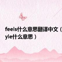 feels什么意思翻译中文（feelstyle什么意思）