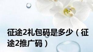 征途2礼包码是多少（征途2推广码）