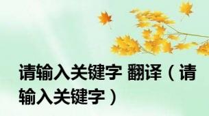 请输入关键字 翻译（请输入关键字）