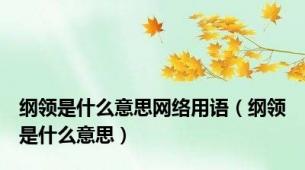 纲领是什么意思网络用语（纲领是什么意思）