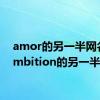 amor的另一半网名（ambition的另一半）