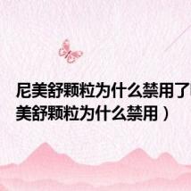 尼美舒颗粒为什么禁用了呢（尼美舒颗粒为什么禁用）