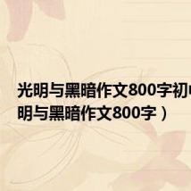 光明与黑暗作文800字初中（光明与黑暗作文800字）