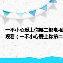 一不小心爱上你第二部电视剧全集观看（一不小心爱上你第二部）