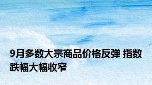 9月多数大宗商品价格反弹 指数跌幅大幅收窄