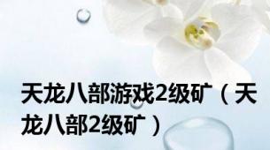 天龙八部游戏2级矿（天龙八部2级矿）