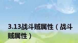 3.13战斗贼属性（战斗贼属性）