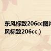 东风标致206cc图片（东风标致206cc）