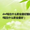 dnf现在什么职业最好搬砖（dnf现在什么职业最好）