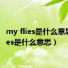 my flies是什么意思（flies是什么意思）