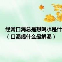 经常口渴总是想喝水是什么原因（口渴喝什么最解渴）