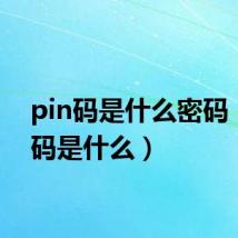 pin码是什么密码（pin码是什么）