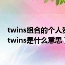 twins组合的个人资料（twins是什么意思）