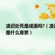 凌迟处死是成语吗?（凌迟处死是什么意思）