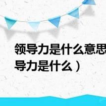 领导力是什么意思（领导力是什么）