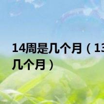 14周是几个月（13周是几个月）