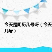 今天是阴历几号呀（今天是阴历几号）