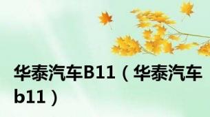 华泰汽车B11（华泰汽车b11）