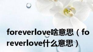 foreverlove啥意思（foreverlove什么意思）