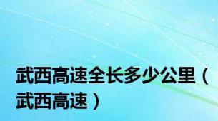 武西高速全长多少公里（武西高速）