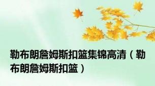 勒布朗詹姆斯扣篮集锦高清（勒布朗詹姆斯扣篮）