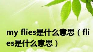 my flies是什么意思（flies是什么意思）