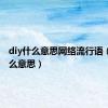 diy什么意思网络流行语（diy什么意思）