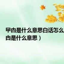 曱甴是什么意思白话怎么读（曱甴是什么意思）