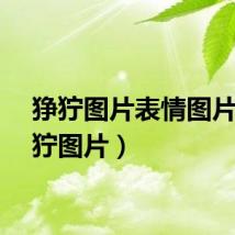 狰狞图片表情图片（狰狞图片）