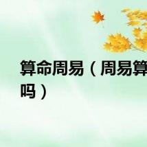 算命周易（周易算卦准吗）