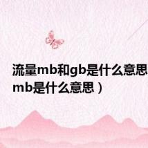 流量mb和gb是什么意思（流量mb是什么意思）