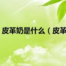 皮革奶是什么（皮革奶）