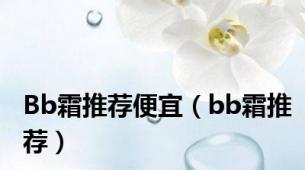 Bb霜推荐便宜（bb霜推荐）