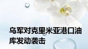 乌军对克里米亚港口油库发动袭击