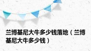 兰博基尼大牛多少钱落地（兰博基尼大牛多少钱）