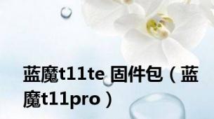 蓝魔t11te 固件包（蓝魔t11pro）