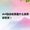 dnf自动收菜是什么意思（dnf自动收货）