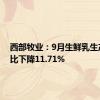 西部牧业：9月生鲜乳生产量同比下降11.71%