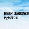 郑商所纯碱期货主力合约大跌9%