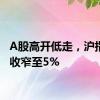 A股高开低走，沪指涨幅收窄至5%