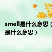 smell是什么意思（hear是什么意思）